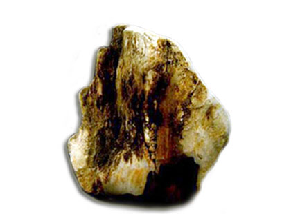 木化玉石