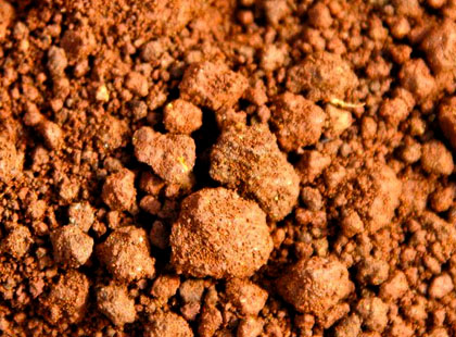 Soil Media 